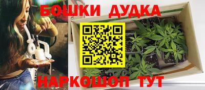 сатива Лесосибирск