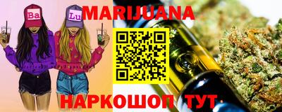 сатива Лесосибирск