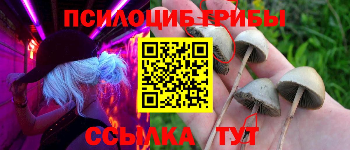 Воткинск  Галлюциногенные грибы Magic Shrooms  Вход с VPN  Галлюциногенные грибы Psilocybine cubensis 